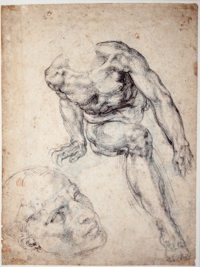 Study of a Male Nude, Separate Study of His Head by Michelangelo Buonarroti
